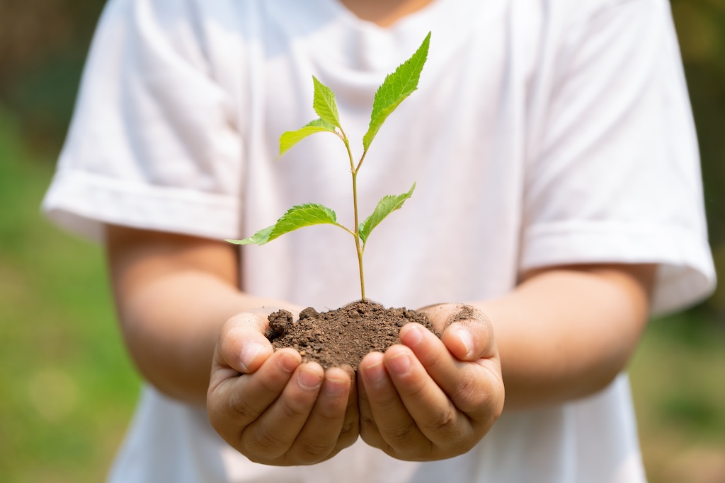 探究活動の様子